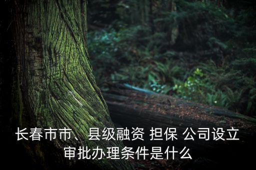 長春市市、縣級融資 擔保 公司設立審批辦理條件是什么
