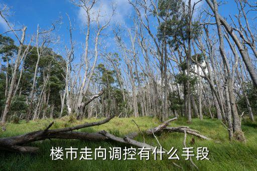 樓市走向調(diào)控有什么手段