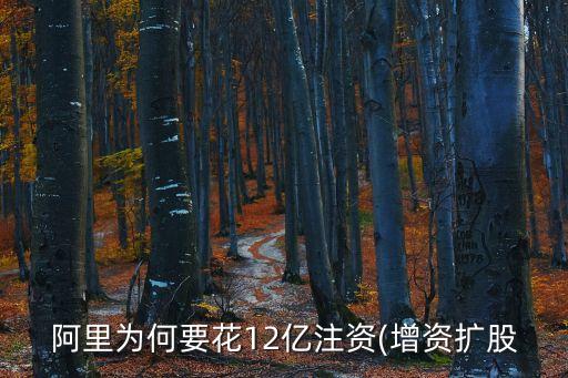 阿里巴巴62億港幣入股文化中國(guó)