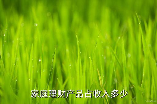  家庭理財(cái)產(chǎn)品占收入多少