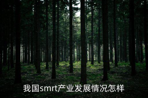 中國手機(jī)產(chǎn)量居世界的多少,中國產(chǎn)量居世界第一位的
