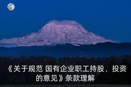 《關(guān)于規(guī)范 國有企業(yè)職工持股、投資的意見》條款理解