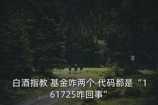 基金代碼板塊,旅游板塊etf基金代碼
