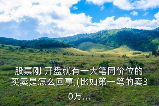  股票剛 開盤就有一大筆同價位的 買賣是怎么回事,(比如第一筆的賣30萬...