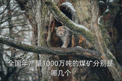 全國(guó)年產(chǎn)量1000萬噸的煤礦分別是哪幾個(gè)