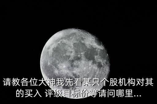 請教各位大神我先看某只個股機構(gòu)對其的買入 評級目標價等請問哪里...