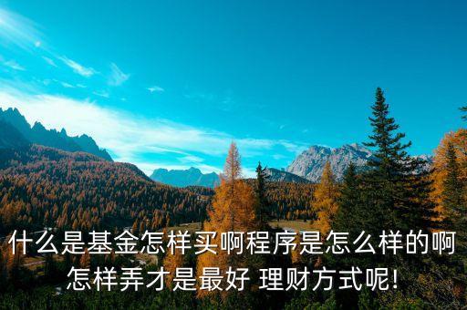 什么是基金怎樣買(mǎi)啊程序是怎么樣的啊怎樣弄才是最好 理財(cái)方式呢!