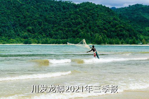 川發(fā)龍蟒2021年三季報(bào)