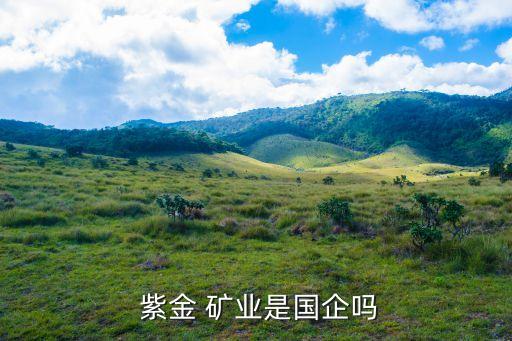  紫金 礦業(yè)是國企嗎
