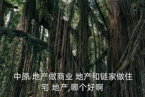 中原地產股票怎么樣,中原建業(yè)地產股票