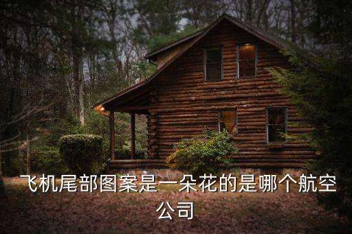  飛機尾部圖案是一朵花的是哪個航空公司