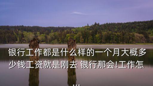  銀行工作都是什么樣的一個(gè)月大概多少錢(qián)工資就是剛?cè)?銀行那會(huì)!工作怎...