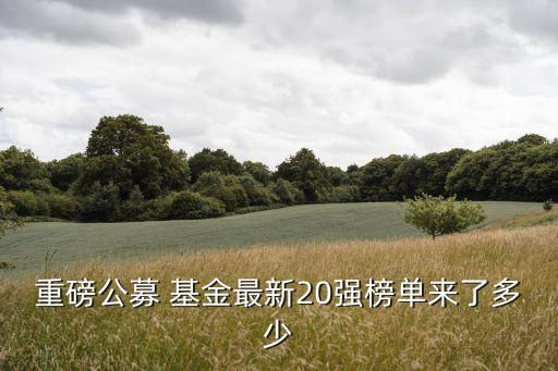 嘉實基金資產規(guī)模