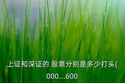 滬深股票代碼,碧桂園滬深股票代碼