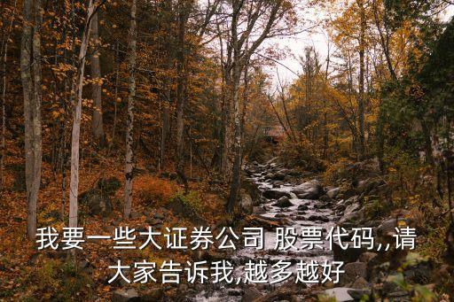 我要一些大證券公司 股票代碼,,請(qǐng)大家告訴我,越多越好
