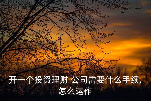 開一個(gè)投資理財(cái) 公司需要什么手續(xù),怎么運(yùn)作