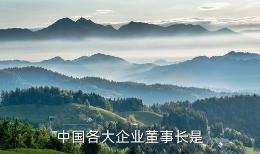 中國(guó)建筑孫文杰退休講話(huà),孫文杰 中國(guó)建筑工程總公司董事長(zhǎng)