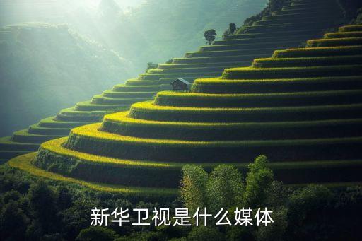  新華衛(wèi)視是什么媒體