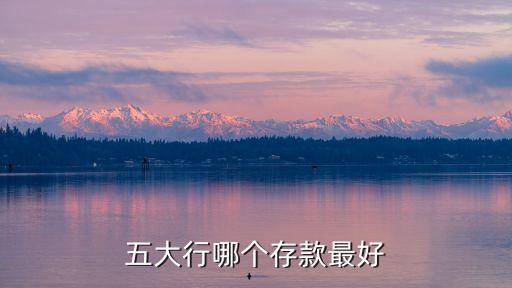 五大行哪個(gè)存款最好