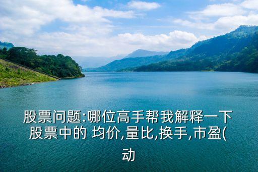  股票問題:哪位高手幫我解釋一下 股票中的 均價,量比,換手,市盈(動