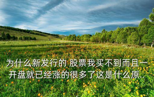 股票買了就漲