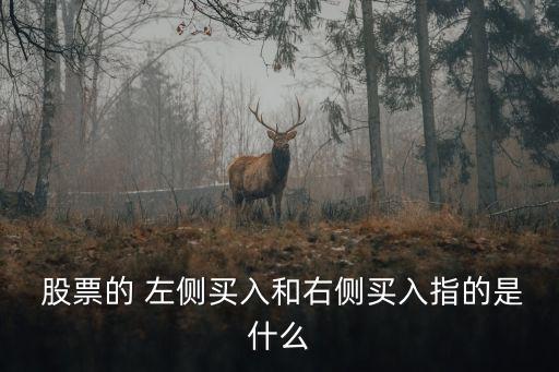  股票的 左側(cè)買入和右側(cè)買入指的是什么