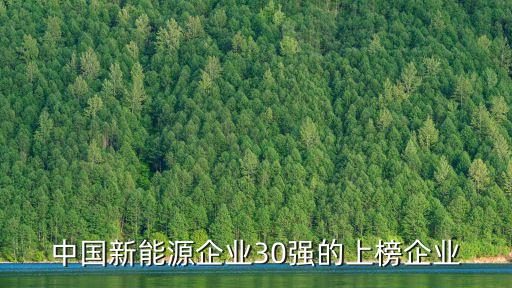 龍?jiān)措娏瘓F(tuán)股份有限公司,中國龍?jiān)措娏瘓F(tuán)股份有限公司