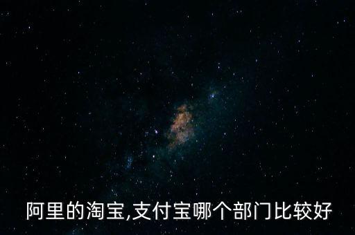  阿里的淘寶,支付寶哪個部門比較好
