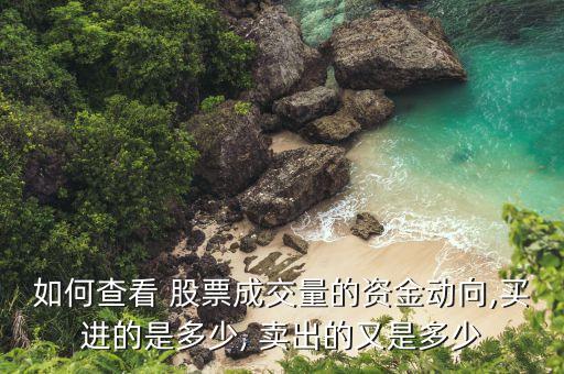 如何查看 股票成交量的資金動(dòng)向,買進(jìn)的是多少, 賣出的又是多少