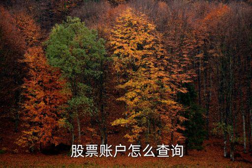 手機號查股票,怎么查手機號注冊了股票