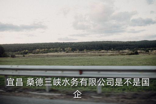桑德集團駐外,北京桑德集團現狀
