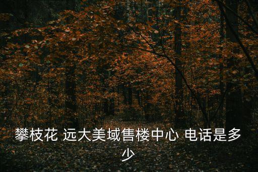 攀枝花 遠(yuǎn)大美域售樓中心 電話(huà)是多少