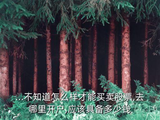 ...不知道怎么樣才能買賣股票,去哪里開戶,應(yīng)該具備多少錢