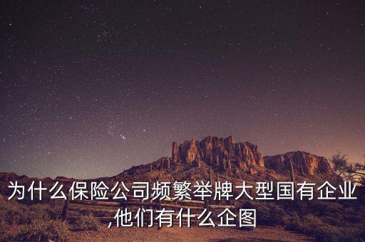 合肥百貨股票險資舉牌價多少
