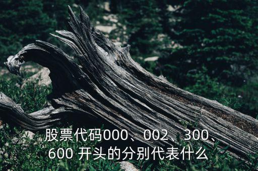  股票代碼000、002、300、600 開頭的分別代表什么