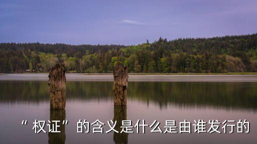 權(quán)證行權(quán)所買(mǎi)賣(mài)的股票來(lái)源