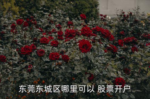 東莞東城區(qū)哪里可以 股票開(kāi)戶(hù)
