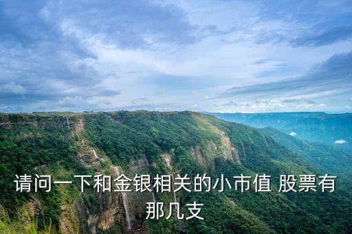 請問一下和金銀相關(guān)的小市值 股票有那幾支