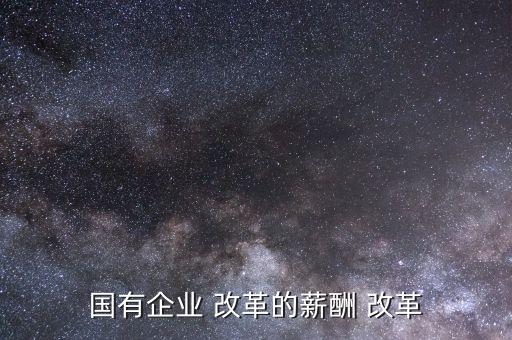 國(guó)有企業(yè) 改革的薪酬 改革