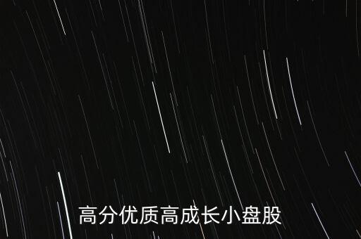 高分優(yōu)質(zhì)高成長(zhǎng)小盤股