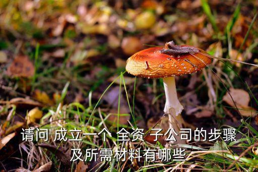 成立全資子公司,自然人獨(dú)資企業(yè)能否再成立全資子公司