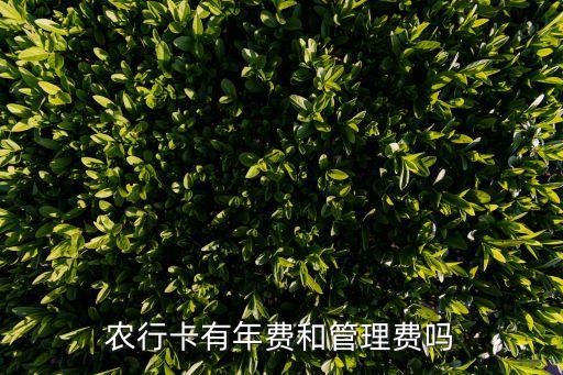 農(nóng)業(yè)銀行網(wǎng)球白金卡