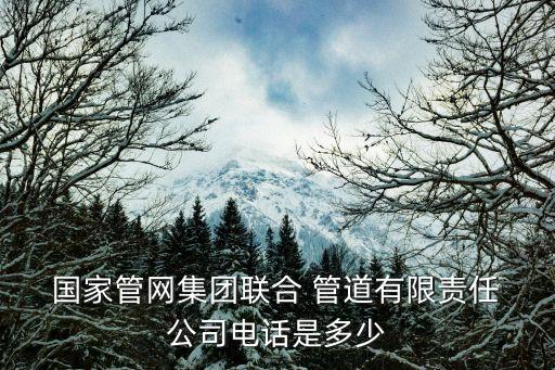  國家管網集團聯(lián)合 管道有限責任 公司電話是多少