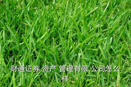 財(cái)通證券 資產(chǎn) 管理有限 公司怎么樣