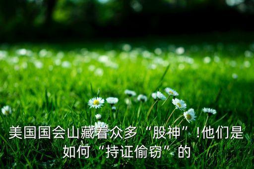 美國國會(huì)山藏著眾多“股神”!他們是如何“持證偷竊”的