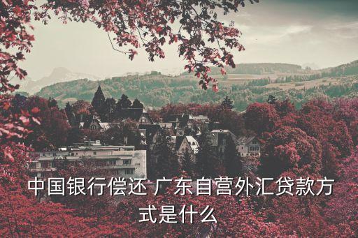 中國(guó)銀行廣東