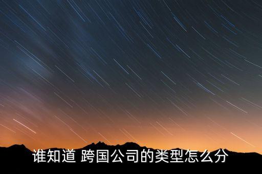 誰(shuí)知道 跨國(guó)公司的類型怎么分