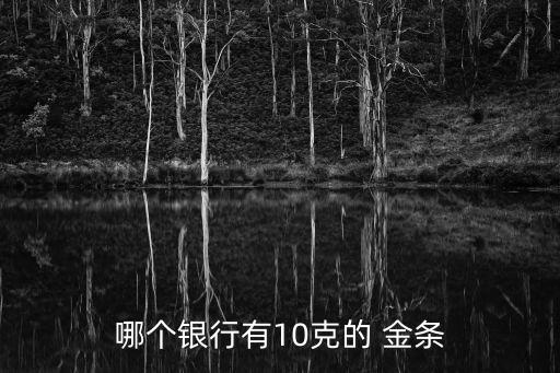 哪個(gè)銀行有10克的 金條