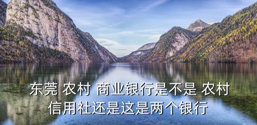  東莞 農(nóng)村 商業(yè)銀行是不是 農(nóng)村信用社還是這是兩個銀行