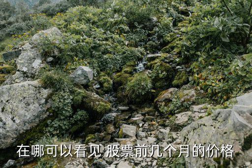 怎樣查看股票歷史價格,如何查看一只股票的歷史價格